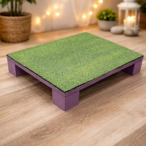 Podest fitness dla psa