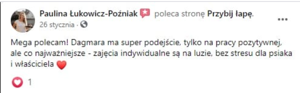 1-opinia.png