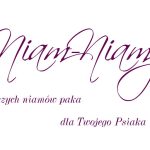 nowe_logo_21.jpeg